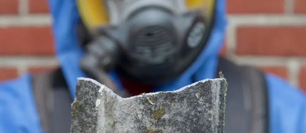 Enfermedades relacionadas con la exposición al amianto